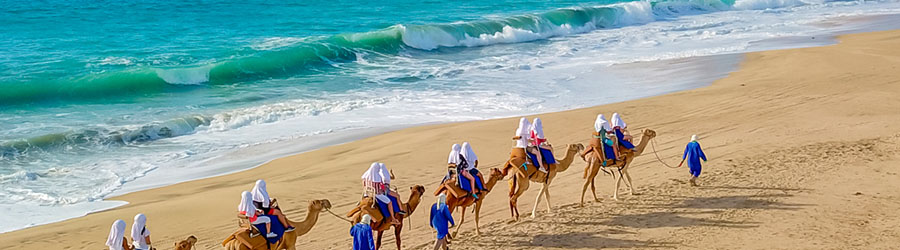 4x4 Outback Safari & Camel Ride Cabo 8