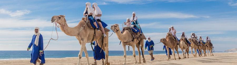 ATV & Camel Quest Wild Canyon Adventure 8