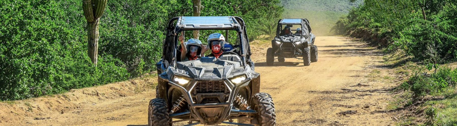 Cabo Outdoor Adventure 8