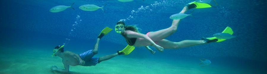 Santa Maria Cove & Chileno Bay Snorkeling 5