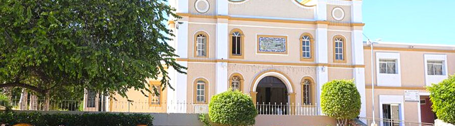 Private All-inclusive Los Cabos Sightseeing Adventure 6