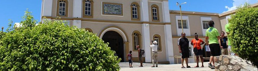 Private All-inclusive Los Cabos Sightseeing Adventure 7