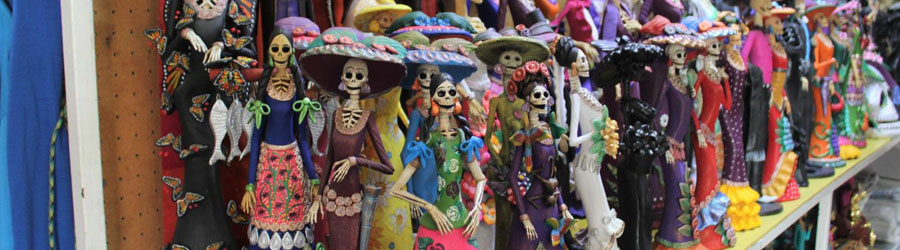 Deluxe Los Cabos City & Shopping Tour 5