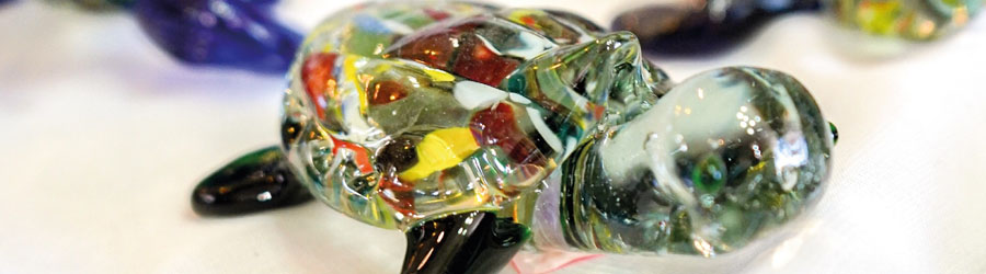 Deluxe Los Cabos City & Shopping Tour 8