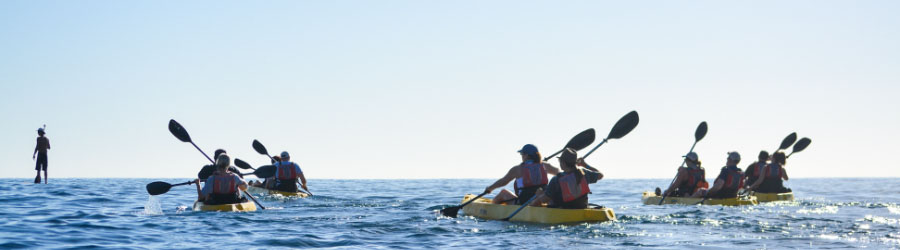 Kayak Fondo De Cristal En 2 Bahías De Cabo San Lucas 4