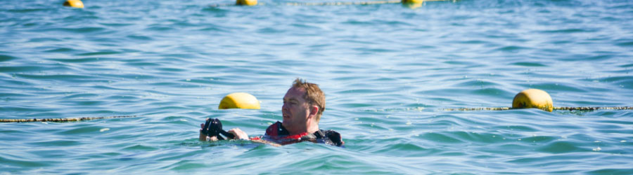 Kayak Fondo De Cristal En 2 Bahías De Cabo San Lucas 5
