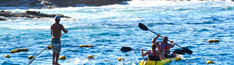 Kayak Fondo De Cristal En 2 Bahías De Cabo San Lucas 6
