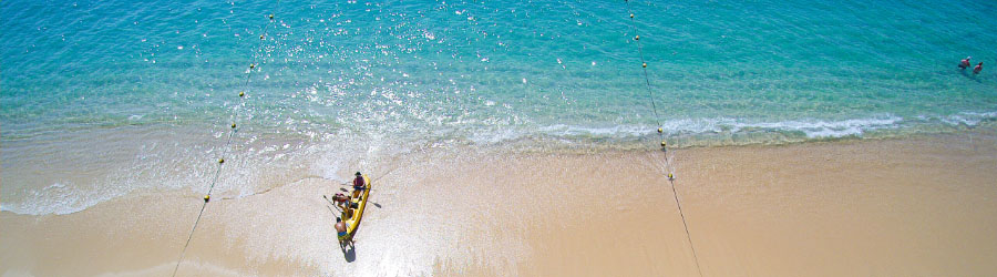 Kayak Fondo De Cristal En 2 Bahías De Cabo San Lucas 7