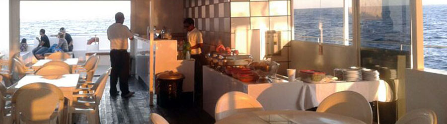 Cabo San Lucas Catamaran Snorkeling & City Tour Adventure 2