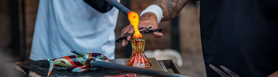 Cabo San Lucas Catamaran Snorkeling & City Tour Adventure 3