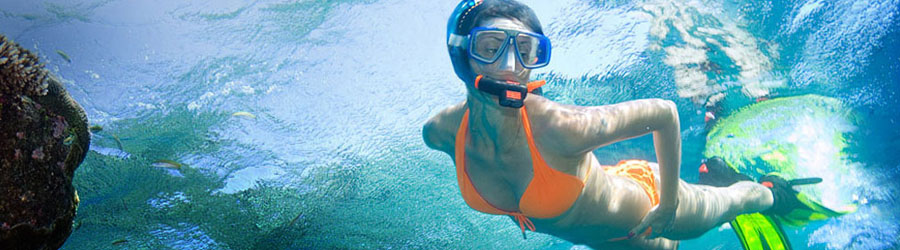 Cabo San Lucas Catamaran Snorkeling & City Tour Adventure 6