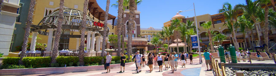 Cabo San Lucas Catamaran Snorkeling & City Tour Adventure 7