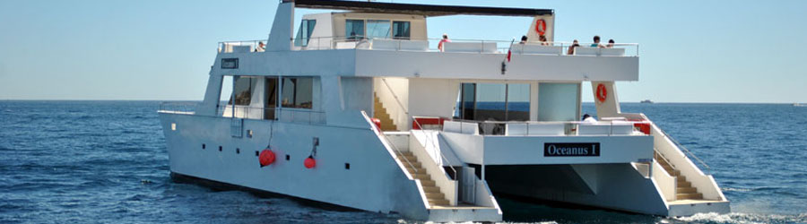 Cabo San Lucas Catamaran Snorkeling & City Tour Adventure 8