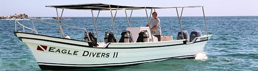 Cabo 3x1 Super Combo: Whales, Snorkel + Lands End 1