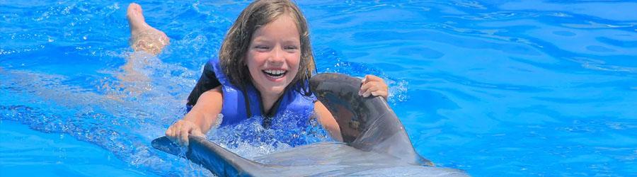 Cabo Dolphin Encounter – Family Dolphin Swim 1