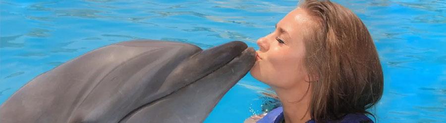 Cabo Dolphin Encounter – Family Dolphin Swim 4