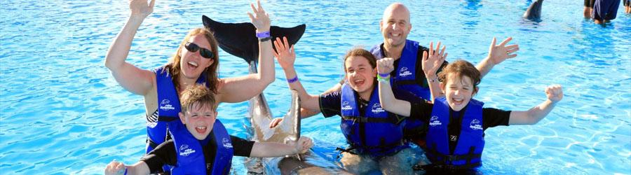Cabo Dolphin Encounter – Family Dolphin Swim 6