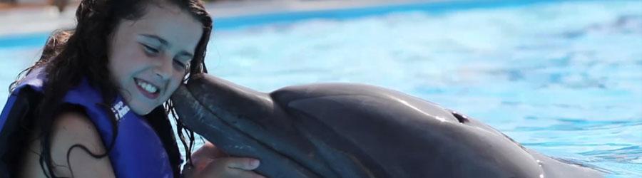 Swimming With Dolphins in Cabo 4