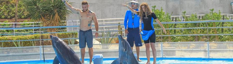 Wild Canyon Zip Lines + Cabo Dolphin Swim Combo 2