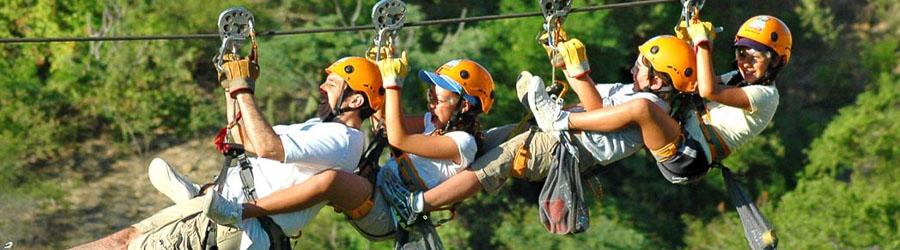 Wild Canyon Zip Lines + Cabo Dolphin Swim Combo 3