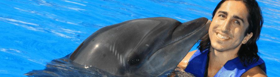 Cabo Dolphin Trainer For a Day, Swim with dolphins Cabo San Lucas 1