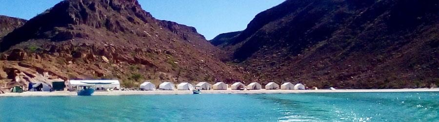 Espiritu Santo Island Baja Sightseeing Adventure 4
