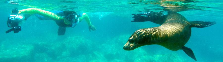 Espiritu Santo Island Baja Sightseeing Adventure 7