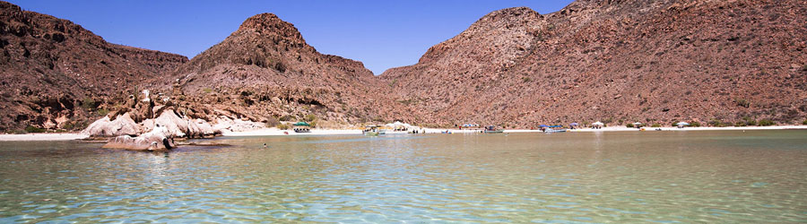 Catamaran to Espiritu Santo Island and Baja Sightseeing in Todos Santos 3