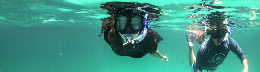 Catamaran to Espiritu Santo Island and Baja Sightseeing in Todos Santos 4