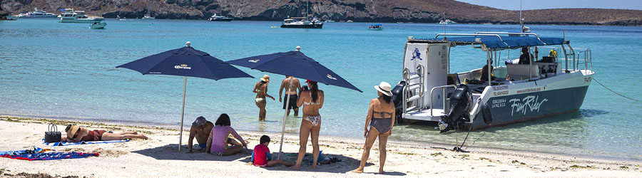 Catamaran to Espiritu Santo Island and Baja Sightseeing in Todos Santos 5