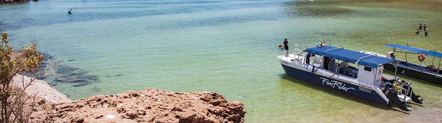 Catamaran to Espiritu Santo Island and Baja Sightseeing in Todos Santos 6
