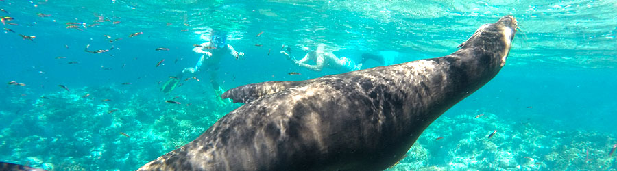 Catamaran to Espiritu Santo Island and Baja Sightseeing in Todos Santos 7