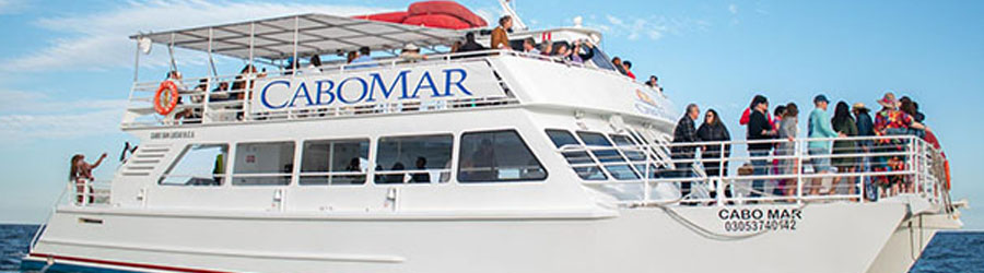 Cabo Mar Fiesta Sunset Dinner Cruise Cabo San Lucas 3