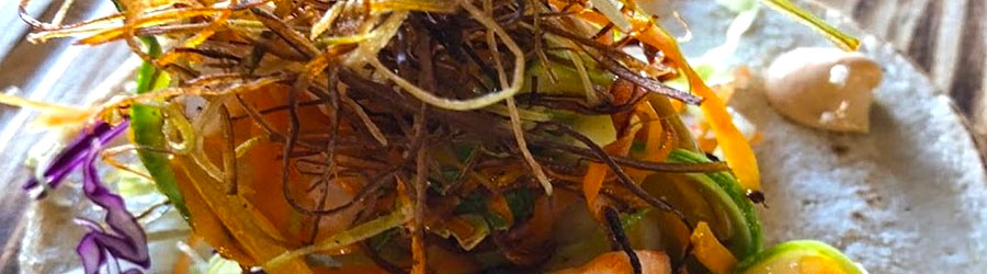 Juan More Taco Cabo San Lucas Food Tour 1