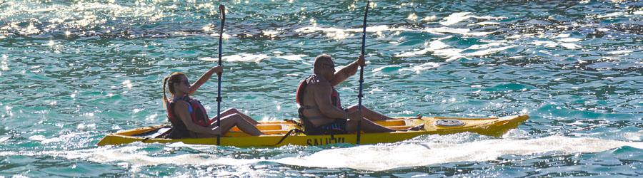 Sea of Cortez Snorkeling and Glass Bottom Kayak to the Arch of Cabo 5