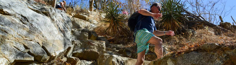 Baja Desert and Waterfall Hiking Adventure Tour 5