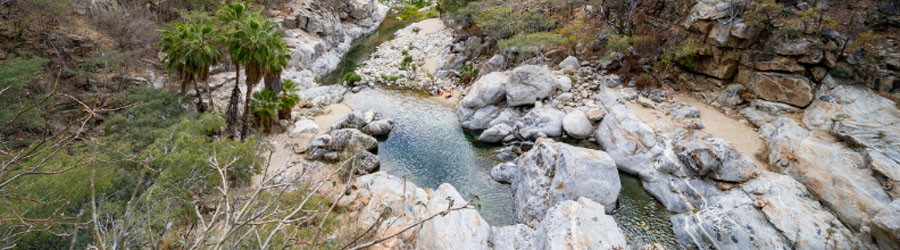 Baja Desert and Waterfall Hiking Adventure Tour 8