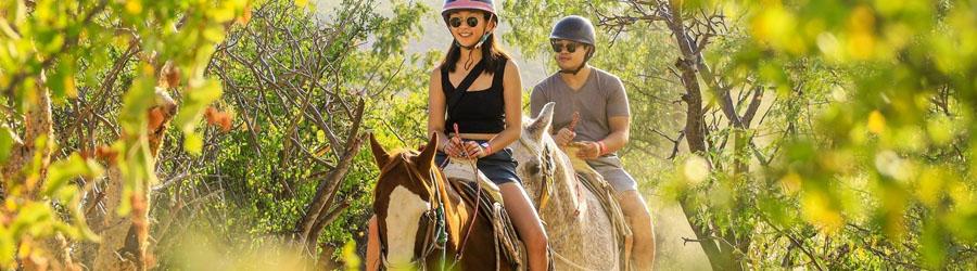 Paseos en Caballo por el Parque de Aventuras Wild Canyon 4