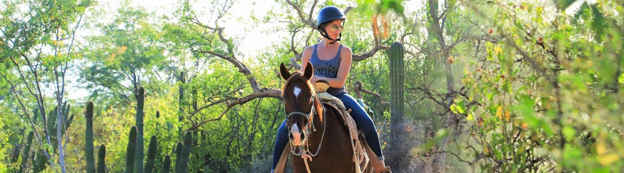 Paseos en Caballo por el Parque de Aventuras Wild Canyon 6