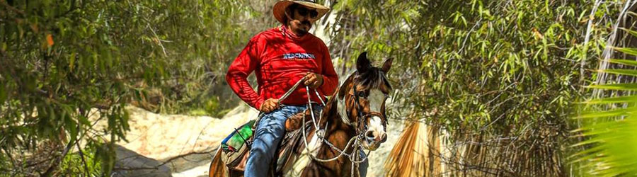 Paseos en Caballo por el Parque de Aventuras Wild Canyon 8