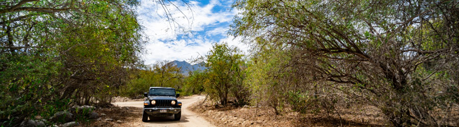 Private Baja Off-road Desert and Canyon Jeep Tour 5