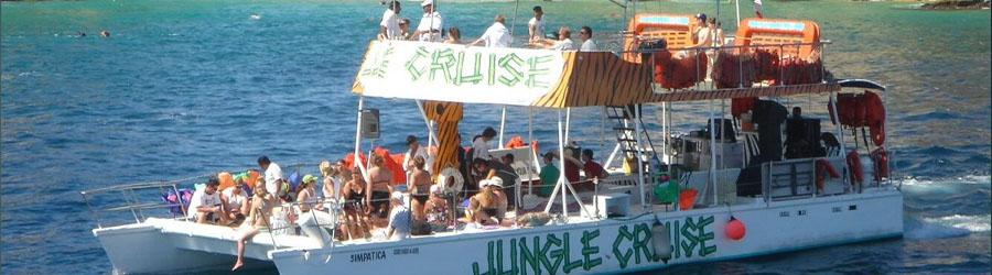 Cabo Booze Cruise Whale Watching 6