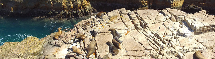 La Tortuga Exclusive Santa Maria Catamaran 4