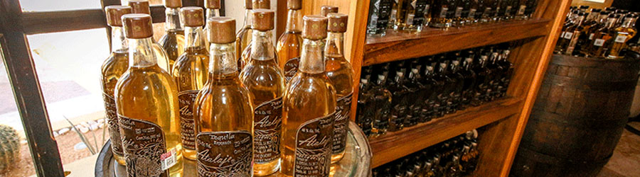 Lands End Tour - Experience The Heart of Cabo San Lucas 4