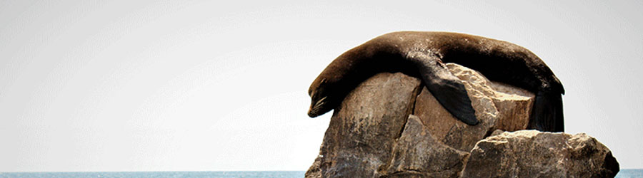 Lands End Tour - Experience The Heart of Cabo San Lucas 8