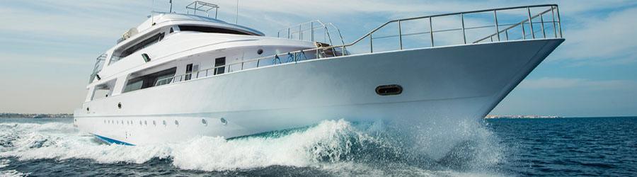 Private Sea of Cortez 52’ Yacht Charter 7