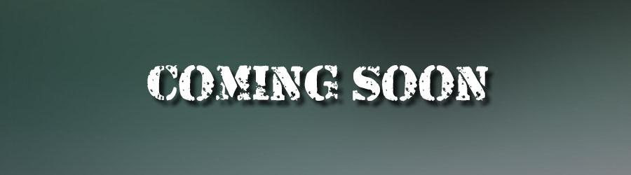 Baja Private Day Sportcruiser Yachts 7