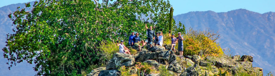 Cabo Beaches & Desert E-Bike Adventure 5