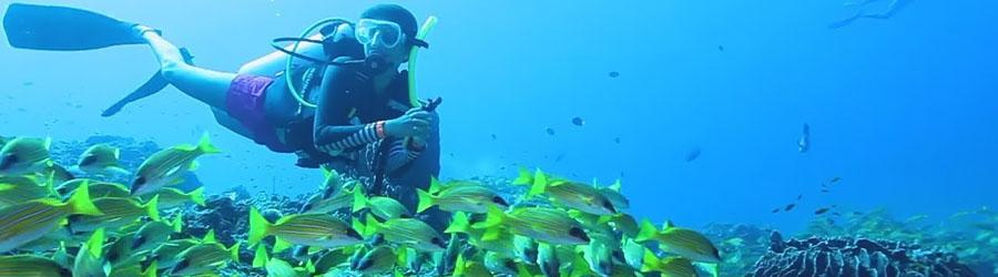 PADI Advanced Courses 2