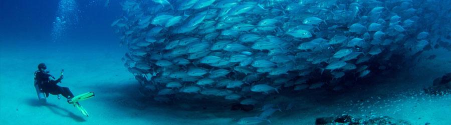 PADI Advanced Courses 7